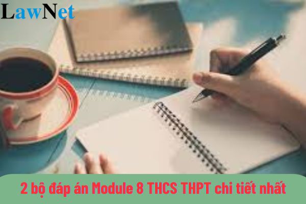 2 bộ đáp án Module 8 THCS THPT chi tiết nhất?