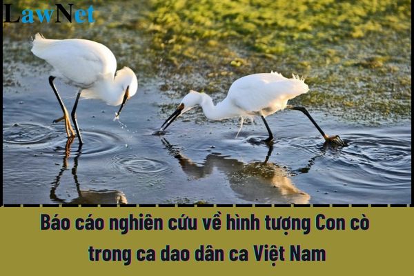 Mẫu viết bài báo cáo nghiên cứu về hình tượng Con cò trong ca dao dân ca Việt Nam?