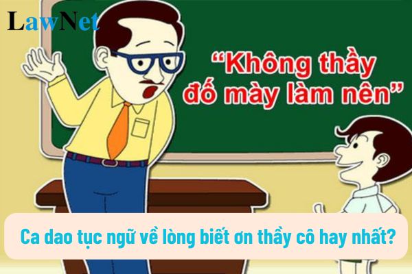 Mẫu ca dao tục ngữ về lòng biết ơn thầy cô hay nhất? Ca dao tục ngữ về lòng biết ơn thầy cô sẽ bắt đầu học trong chương trình lớp mấy?