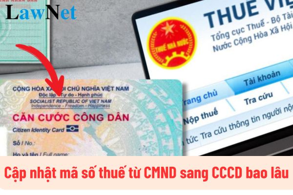 Cập nhật mã số thuế từ CMND sang CCCD bao lâu? Không cập nhật mã số thuế để thay đổi thông tin đăng ký thuế có bị phạt không?