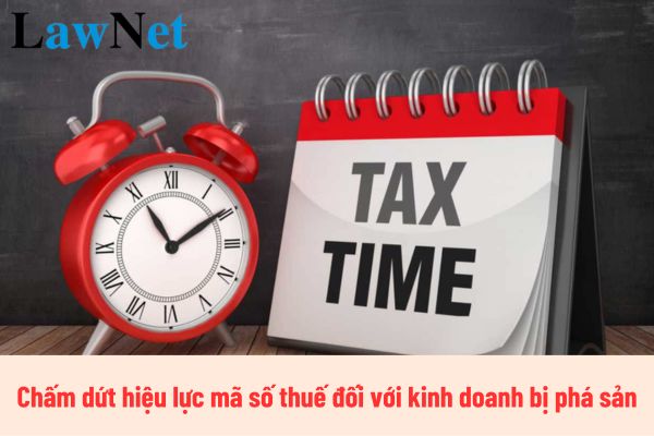 Có phải chấm dứt hiệu lực mã số thuế đối với kinh doanh bị phá sản không?