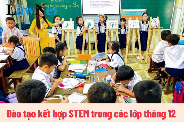 Đào tạo kết hợp STEM trong các lớp tháng 12 có gì? Các bước tạo nên bài học STEM ra sao?