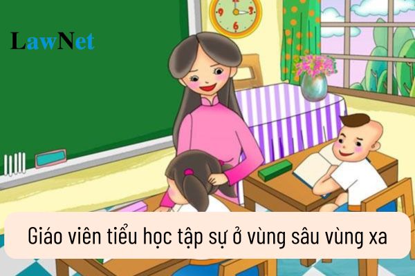 Giáo viên tiểu học tập sự ở vùng sâu vùng xa có được hưởng một trăm phần trăm mức lương hay không?