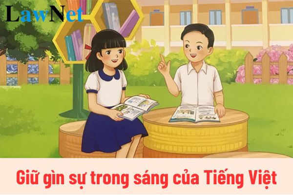 Top 5 mẫu đoạn văn nghị luận về vấn đề giữ gìn sự trong sáng của Tiếng Việt? Học sinh lớp 12 học bao nhiêu tiết Ngữ văn trong một kỳ?