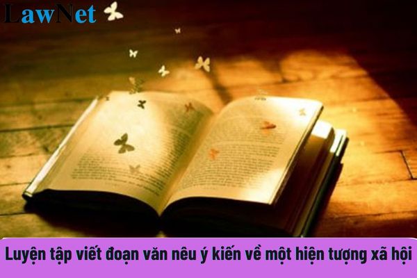 Hướng dẫn luyện tập viết đoạn văn nêu ý kiến về một hiện tượng xã hội chi tiết nhất? Độ tuổi đến trường hiện nay của học sinh trung học là bao nhiêu?