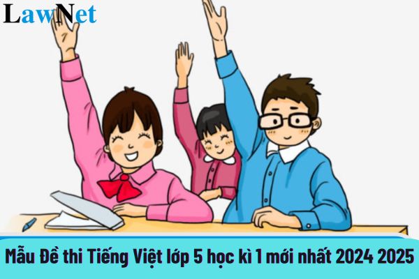 Mẫu Đề thi tiếng việt lớp 5 học kì 1 mới nhất 2024 2025? Lộ trình đánh giá học sinh lớp 5 theo Thông tư 27 ra sao?