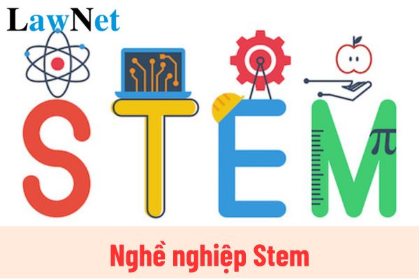 Nghề nghiệp Stem là gì? Nghề nghiệp STEM là chuyên đề học tập trong môn gì?