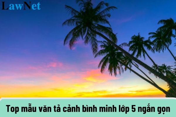 Top mẫu văn tả cảnh bình minh lớp 5 ngắn gọn? Yêu cầu cần đạt đối với nội dung giáo dục học sinh lớp 5 thế nào?