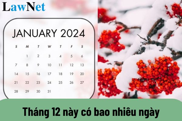 Tháng 12 này có bao nhiêu ngày? Giáo viên THCS có xin nghỉ phép không lương trong tháng 12 này được không?