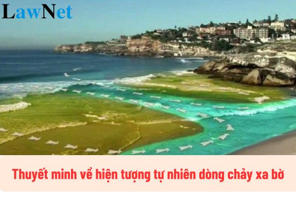 Top 5 mẫu thuyết minh về hiện tượng tự nhiên dòng chảy xa bờ? Môn Ngữ văn lớp 8 phân bổ thời lượng dạy nói và nghe là bao nhiêu?