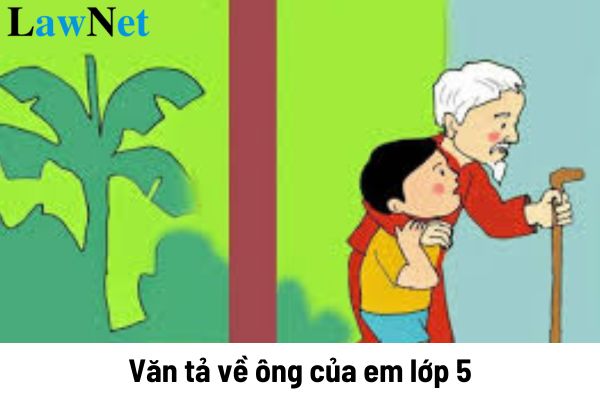 Văn tả về ông của em lớp 5 ngắn gọn? Nội dung đánh giá học sinh lớp 5 mới nhất 2024 là gì?