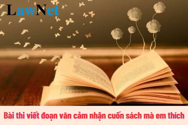 Bài thi viết đoạn văn cảm nhận cuốn sách mà em thích nhất? Năng lực văn học mà học sinh lớp 8 phải đạt được?