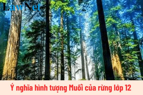 Ý nghĩa hình tượng Muối của rừng lớp 12 là gì? Yêu cầu cần đạt về năng lực văn học lớp 12 là gì?