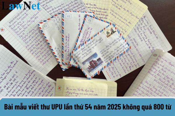 Bài mẫu viết thư UPU lần thứ 54 năm 2025 không quá 800 từ dành cho học sinh tiểu học hay nhất?