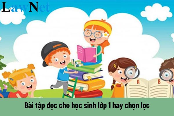 Tổng hợp bài tập đọc cho học sinh lớp 1 hay chọn lọc? Bao nhiêu tuổi thì được học lớp 1? 