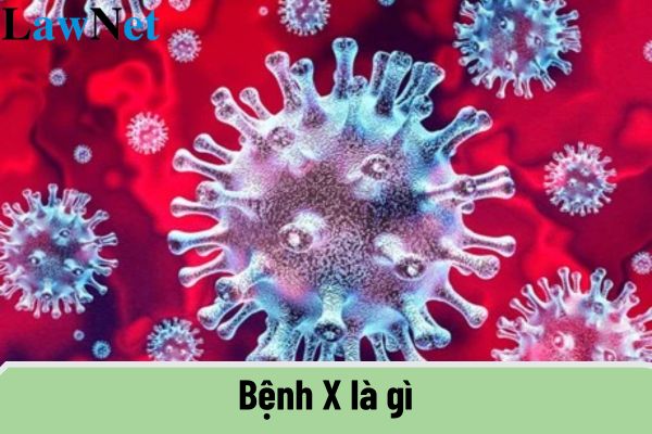 Bệnh X là gì? Bệnh X nguy hiểm như thế nào? Phòng y tế trường học cần đảm bảo các điều kiện cần thiết gì?