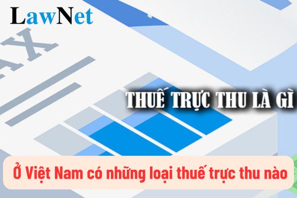  Ở Việt Nam có những loại thuế trực thu nào? Các khoản thu nhập nào được miễn thuế trực thu là thuế thu nhập cá nhân?