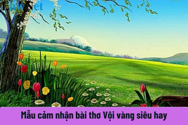 Mẫu cảm nhận bài thơ Vội vàng siêu hay? Học sinh sẽ được học những nội dung gì trong văn bản nghị luận?