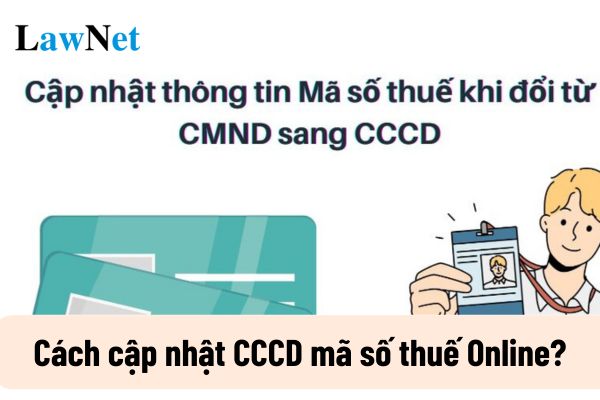 Cách cập nhật CCCD mã số thuế Online? Thời hạn cập nhật CCCD mã số thuế Online để thay đổi thông tin đăng kí thuế là bao lâu?