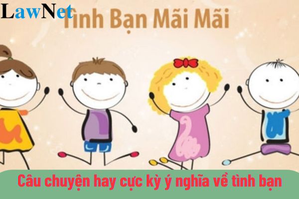 Top những câu chuyện hay cực kỳ ý nghĩa về tình bạn? Hình thức chủ yếu của các hoạt động giáo dục tiểu học là gì?