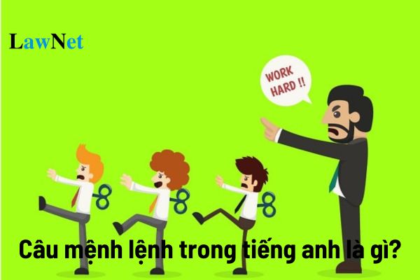 Câu mệnh lệnh trong môn tiếng anh là gì? Câu mệnh lệnh trong Tiếng Anh học sinh sẽ được học trong chương trình cấp mấy?