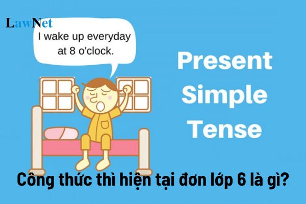 Công thức thì hiện tại đơn lớp 6 là gì? Học sinh lớp 6 không thuộc công thức thì hiện tại đơn có bị xử lý kỉ luật hay không?