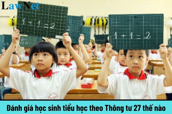 Đánh giá học sinh tiểu học theo Thông tư 27 thế nào? Có mấy mức đánh giá học sinh tiểu học gồm những gì?