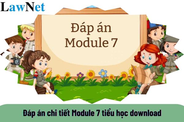 Đáp án chi tiết Module 7 tiểu học download? 4 Tiêu chuẩn đạo đức nghề nghiệp giáo viên tiểu học cần có là gì?