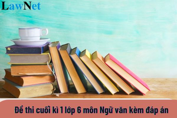 Top mẫu Đề thi cuối kì 1 lớp 6 môn Ngữ văn kèm đáp án? Các hình thức đánh giá chủ yếu đối với học sinh lớp 6 là gì?