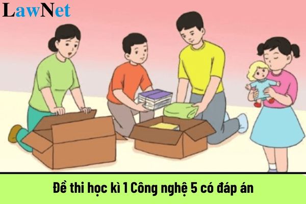 Đề thi học kì 1 Công nghệ 5 có đáp án? Cơ cấu tổ chức của trường tiểu học thế nào?