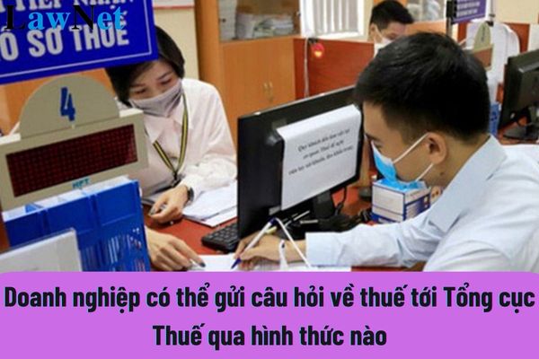 Doanh nghiệp có thể gửi câu hỏi về thuế tới Tổng cục Thuế qua hình thức nào?