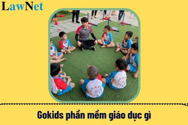 Gokids phần mềm giáo dục gì? Tính năng nổi bật của Gokids phần mềm giáo dục ra sao?