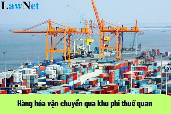 Hàng hóa vận chuyển qua khu phi thuế quan để nhập khẩu vào nội địa hoặc xuất khẩu ra nước ngoài phải đi qua đâu?