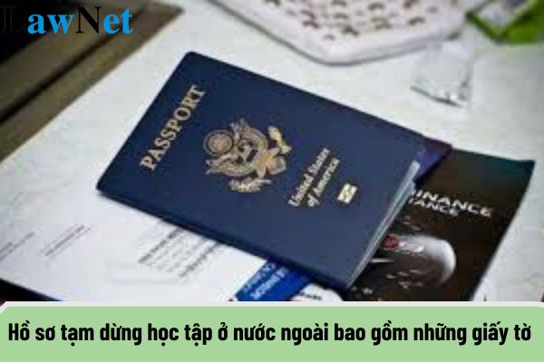 Hồ sơ tạm dừng học tập ở nước ngoài bao gồm những giấy tờ gì? Quy trình thực hiện tạm dừng học tập ở nước ngoài như thế nào?