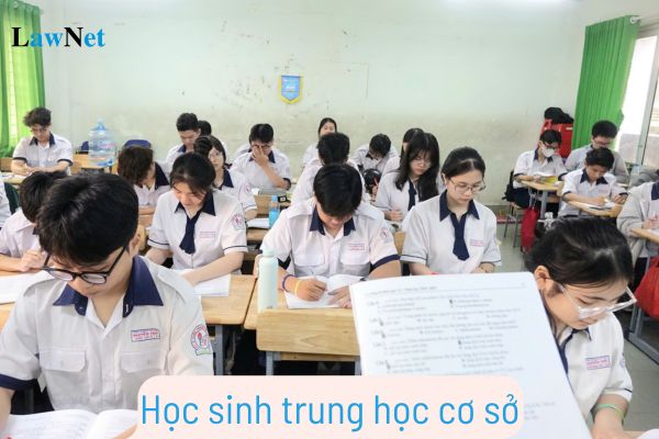 Học sinh trung học cơ sở có những môn tự chọn gì?