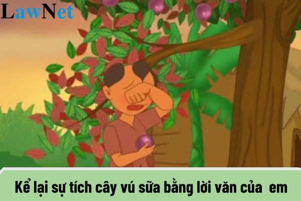 Kể lại sự tích cây vú sữa bằng lời văn của em? Đánh giá học sinh lớp 6 cần đảm bảo yêu cầu gì?