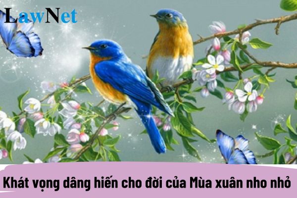 Khát vọng dâng hiến cho đời của Mùa xuân nho nhỏ là gì? Chương trình môn Ngữ văn lớp 9 phải đảm bảo các yêu cầu nào?