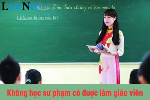 Không học sư phạm có được làm giáo viên? Chứng chỉ nghiệp vụ sư phạm là gì?