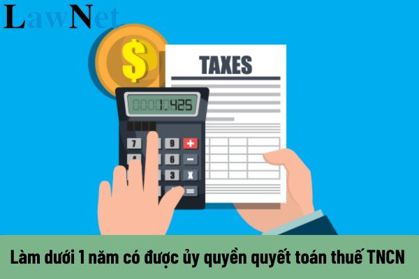 Làm dưới 1 năm có được ủy quyền quyết toán thuế TNCN cho công ty không?