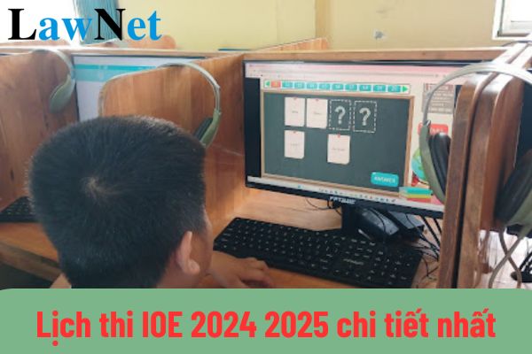 Lịch thi IOE 2024 2025 chi tiết nhất? Tuổi của học sinh các cấp là bao nhiêu?