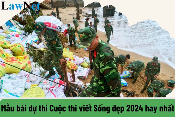 Hỏi đáp Pháp luật