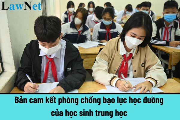 Mẫu bản cam kết phòng chống bạo lực học đường của học sinh trung học là mẫu nào? Học sinh trung học không được lưu ban mấy lần trong một cấp học?