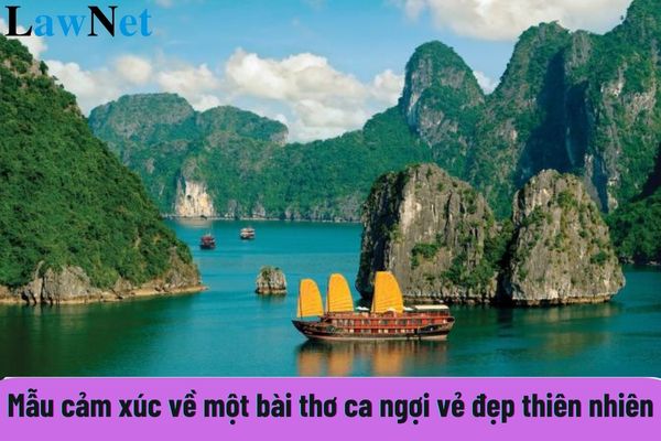 Top mẫu cảm xúc về một bài thơ ca ngợi vẻ đẹp thiên nhiên điểm cao? Giáo dục tiểu học nhằm hình thành cơ sở ban đầu đúng không?