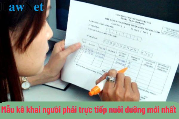 Mẫu kê khai người phải trực tiếp nuôi dưỡng mới nhất 2024 là mẫu nào?