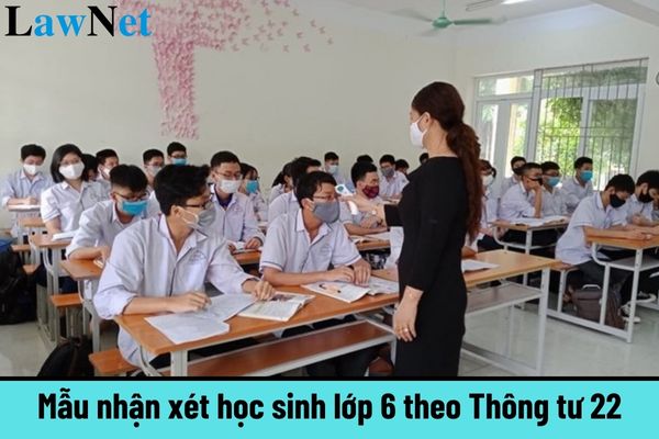 Mẫu nhận xét học sinh lớp 6 theo Thông tư 22 mới nhất? Học sinh lớp 6 quá 01 tuổi thì trái với quy định hay không?