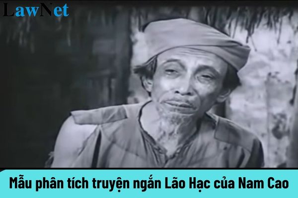 Mẫu phân tích truyện ngắn Lão Hạc của Nam Cao hay nhất? Ai có thẩm quyền lựa chọn sách giáo khoa cho học sinh trung học?