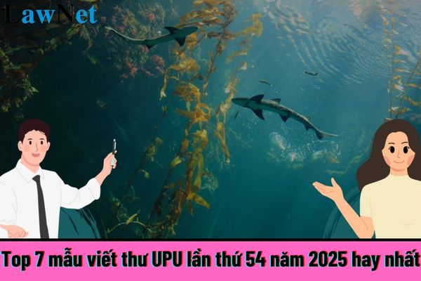 Top 7 mẫu viết thư UPU lần thứ 54 năm 2025 hay nhất? Quy định về đánh giá kết quả rèn luyện của học sinh lớp 12 ra sao?