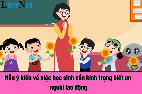 Top 5 mẫu ý kiến về việc học sinh cần kính trọng biết ơn người lao động? Quyền học tập của học sinh tiểu học được thể hiện thế nào?