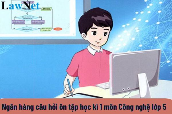 Ngân hàng câu hỏi ôn tập học kì 1 môn Công nghệ lớp 5 chi tiết nhất?