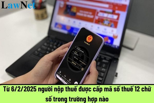 Từ 6/2/2025 người nộp thuế được cấp mã số thuế 12 chữ số trong trường hợp nào?